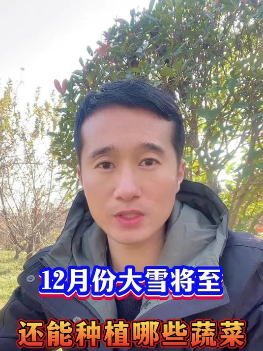 12月份南方和北方还能种植哪些蔬菜