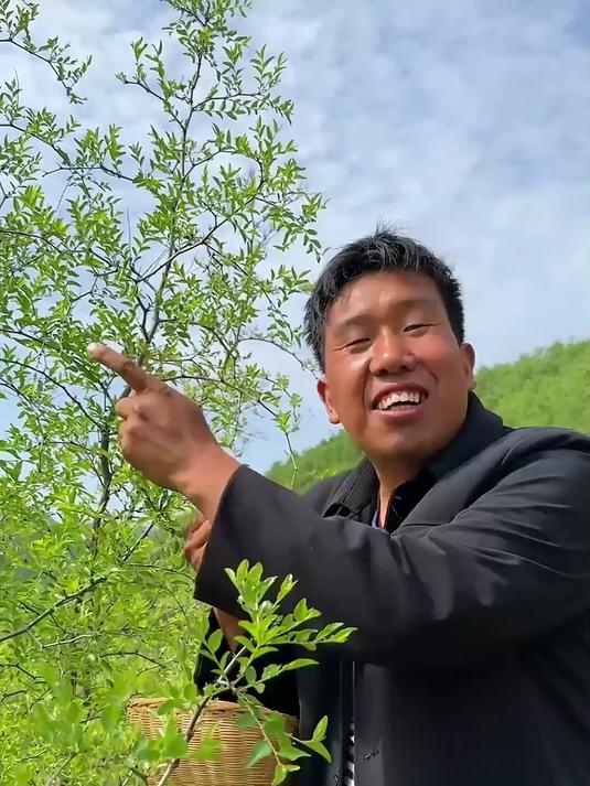 大名鼎鼎的野生酸枣,到底酸不酸?