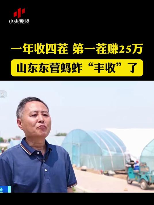 一年收四茬,第一茬赚25万!山东东营蚂蚱“丰收”了