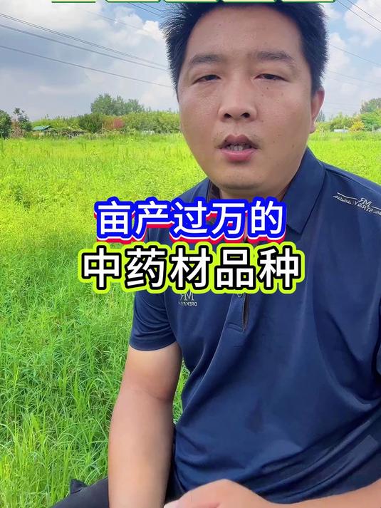 亩产过万的中药材品种
