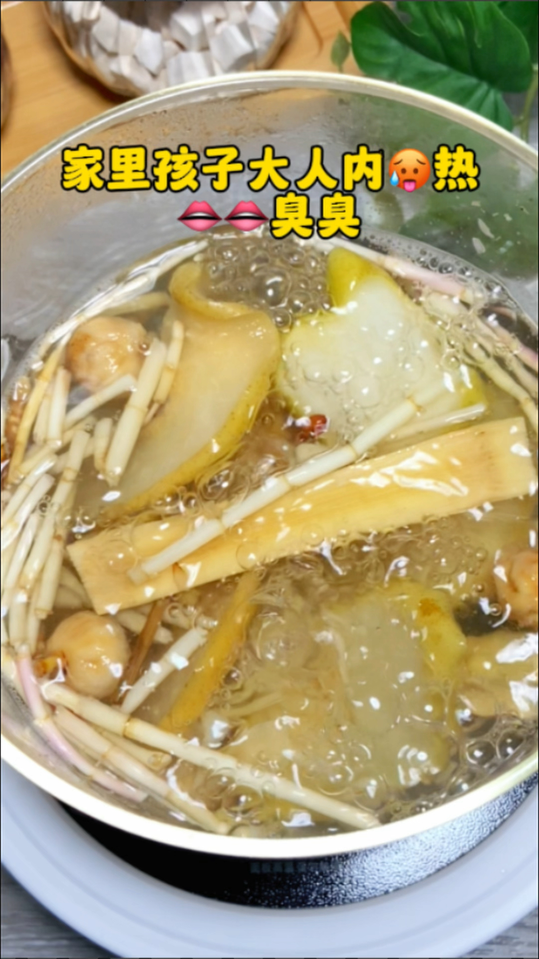 茅根竹蔗雪梨汤水
