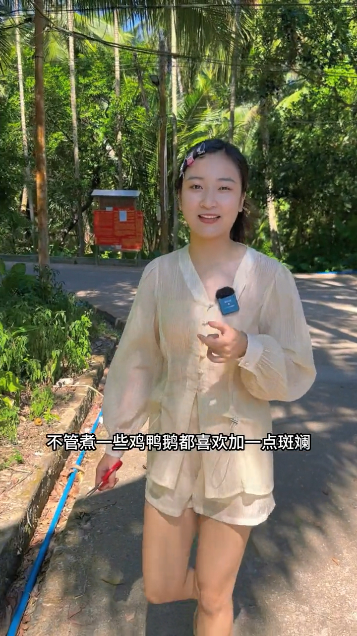 来海南琼海一定要吃加积鸭,用鸭汤煮的饭团太香了