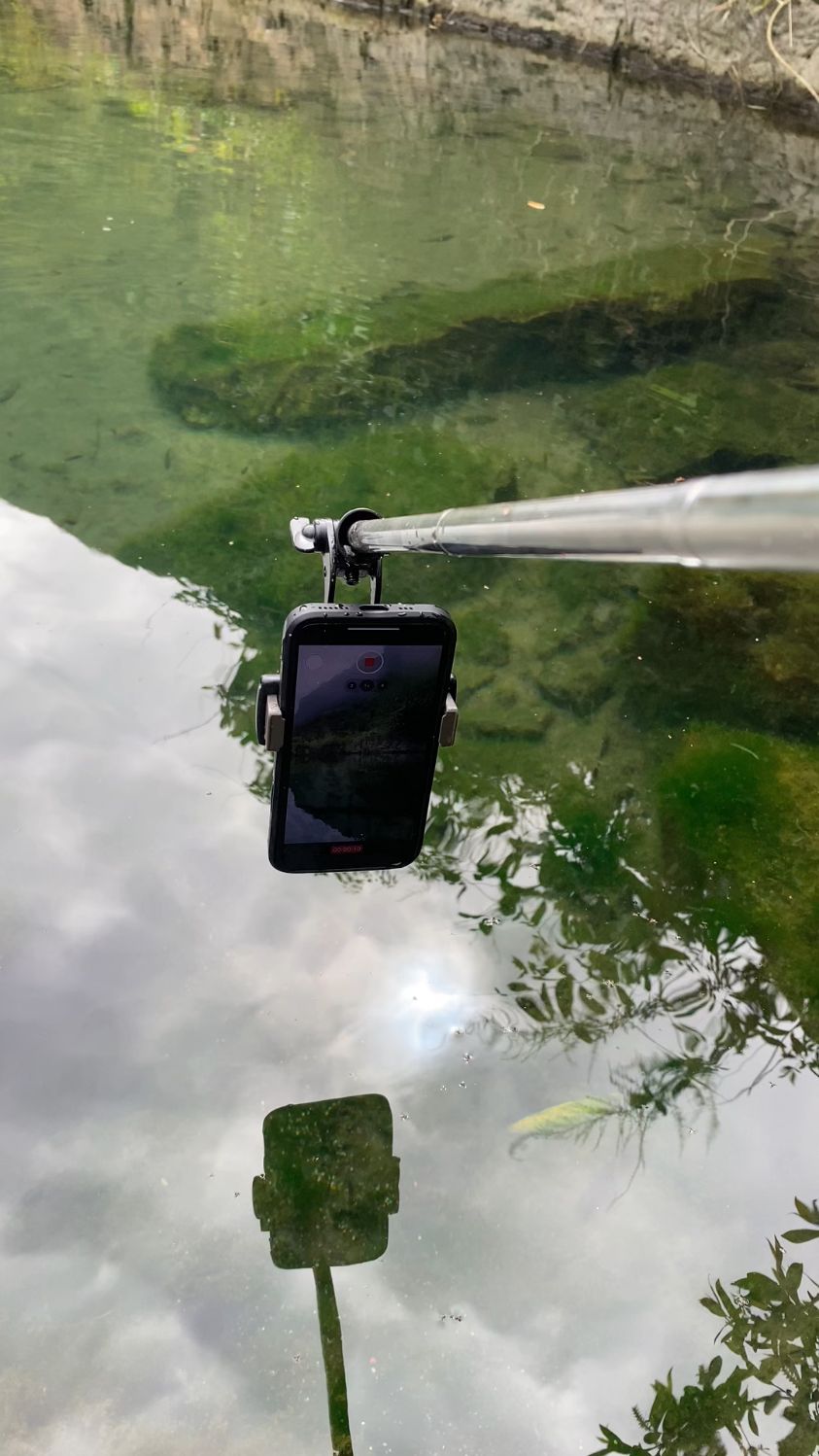 鱼儿的梦幻世界