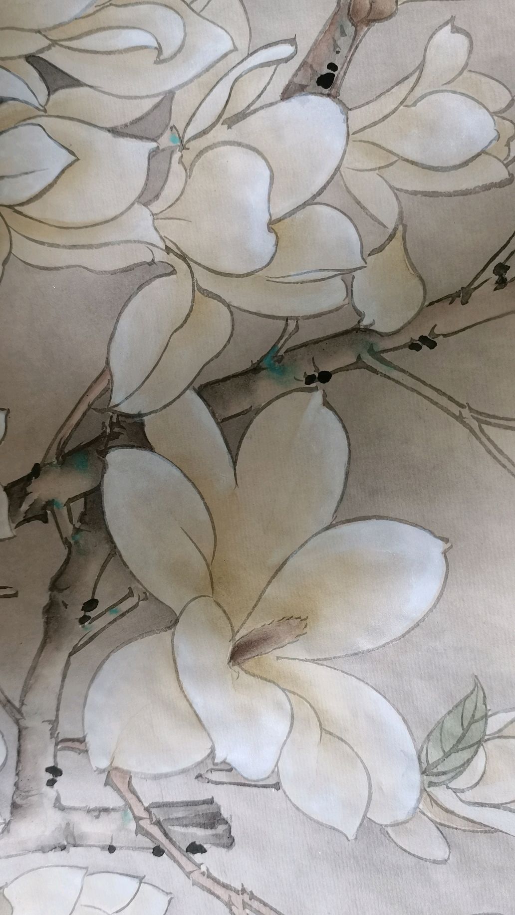工笔画小教程之玉兰花