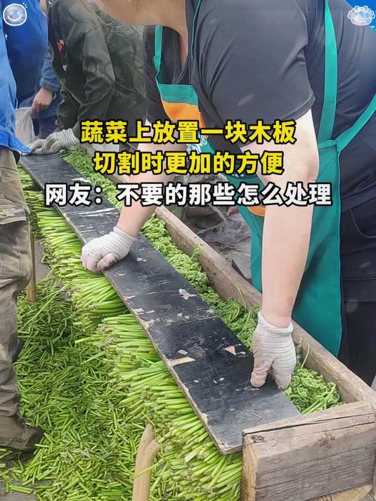 蔬菜上放置一块木板，切割时更加的方便，网友：不要的那些怎么处理