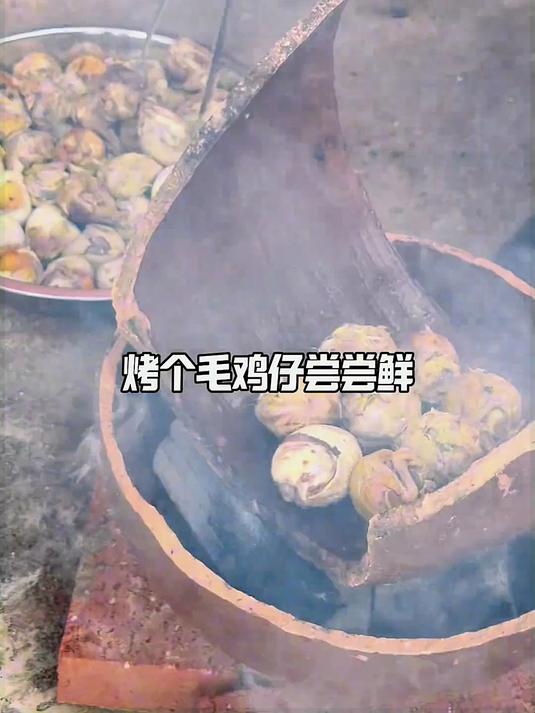 泥瓦罐烤毛鸡仔。看看用泥瓦罐怎么烤出香喷喷的毛鸡仔！