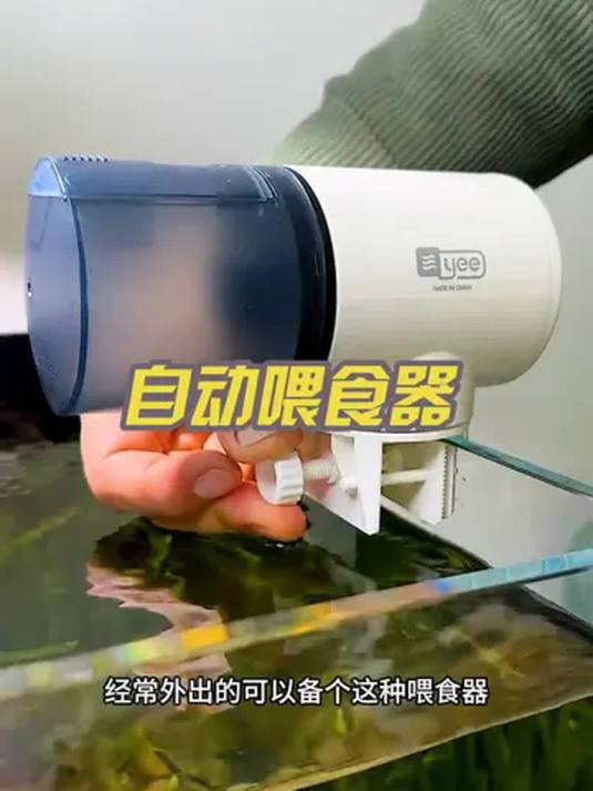 外出不怕鱼挨饿!自动喂食器,水族必备神器