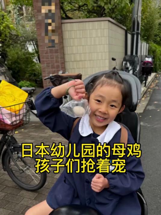 谁能想到,日本幼儿园的母鸡成了顶流团宠!