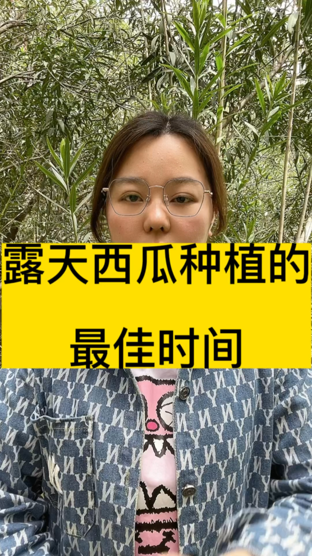 露天西瓜种植最佳时间