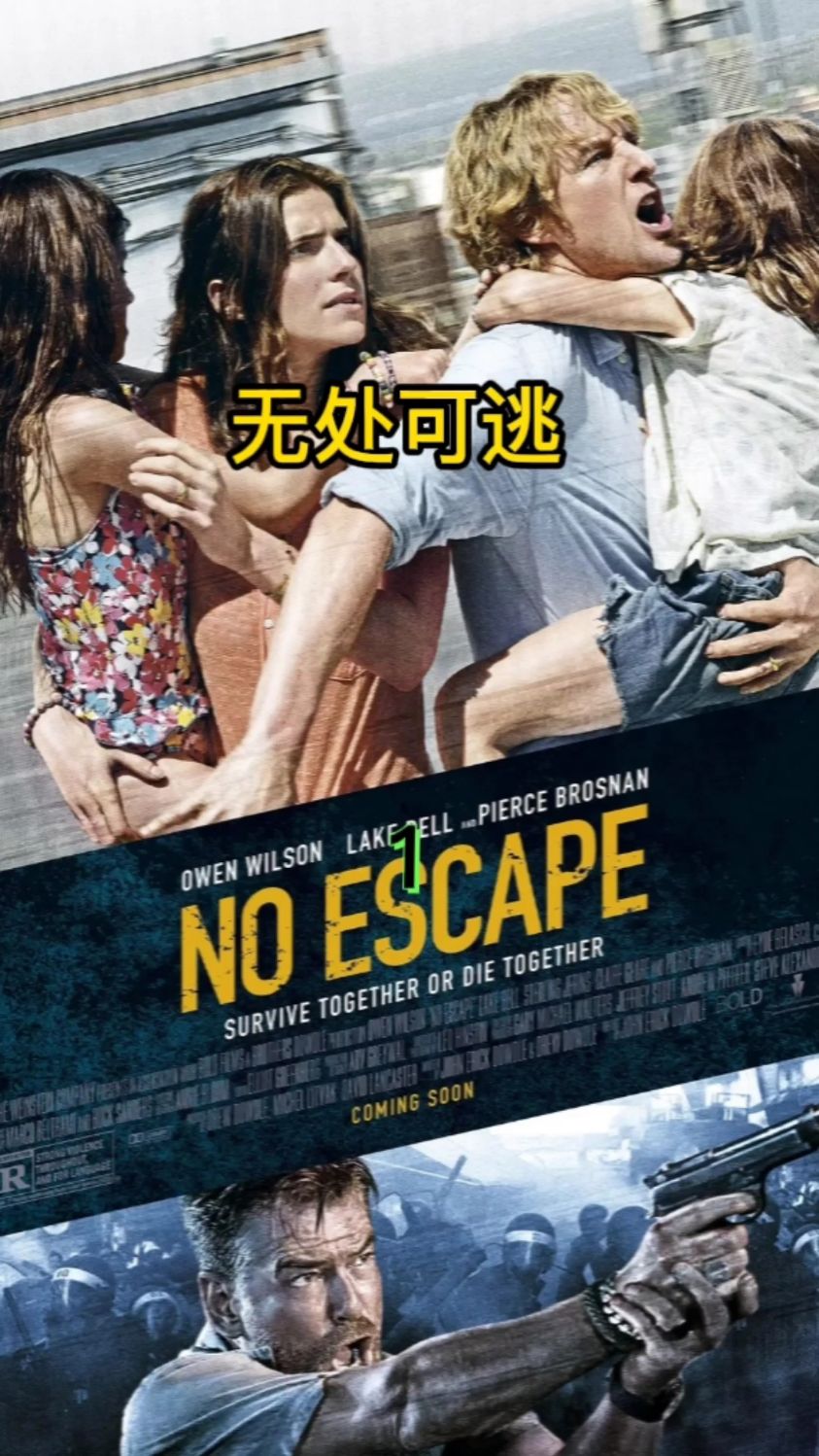 美国真实故事改编的无处可逃