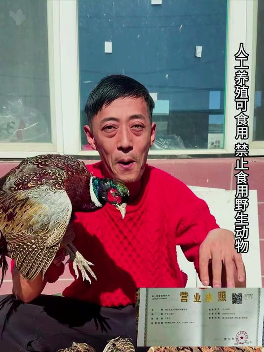 东北特色美食飞龙炖榛蘑