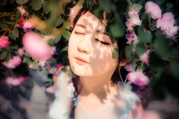 图片[9]-不爱玫瑰爱蔷薇-六色网