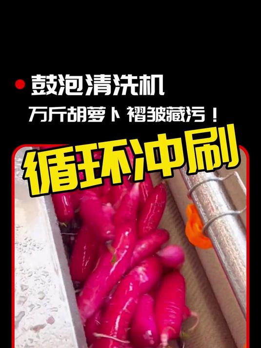 酱菜厂腌胡萝卜条?万斤胡萝卜褶皱藏污!鼓泡清洗机 气泡清洗