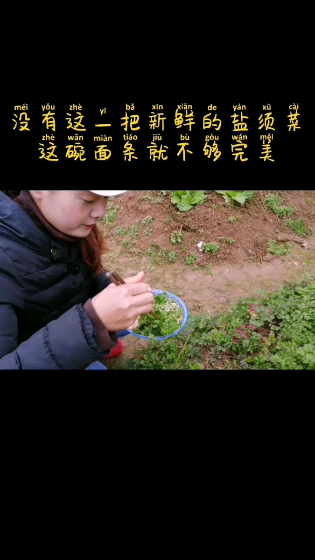 我们这里叫盐须菜,你们那里叫什么?