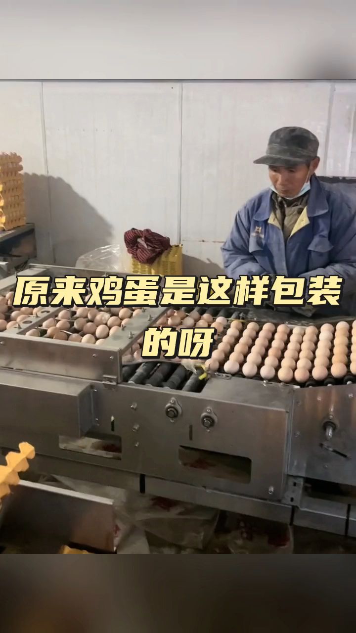 原来鸡蛋是这样包装的呀!