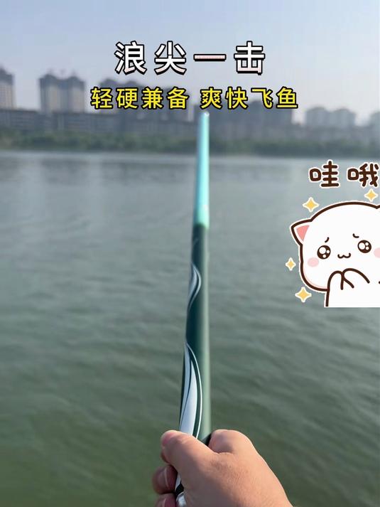 古法浪尖 19 调鱼竿：碳素超轻硬，台钓手竿综合竿，渔具垂钓利器