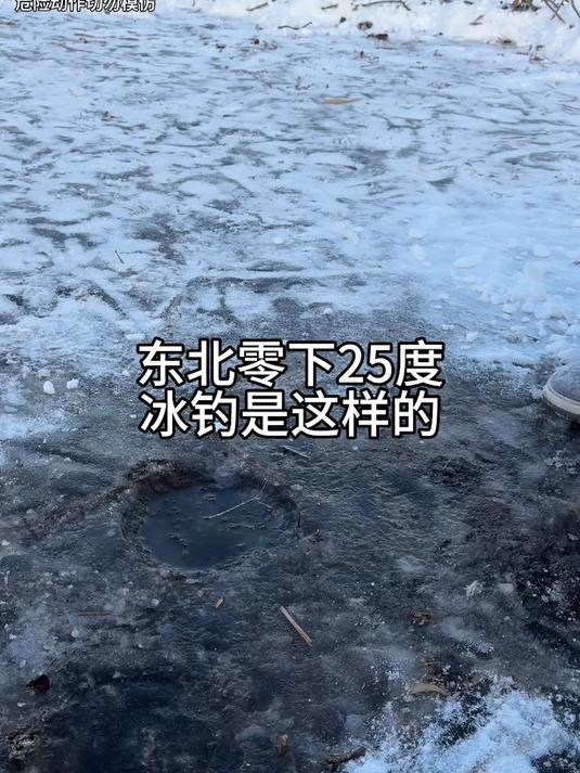 鱼：下回给我整个带袖的衣服