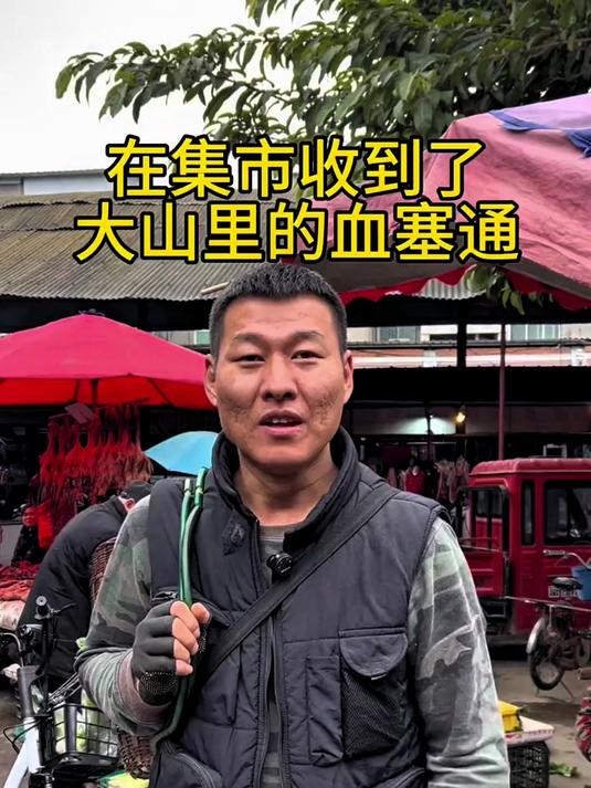 云南大山里的红藤,又称血塞通,通经活络,活血化瘀,泡水喝很好