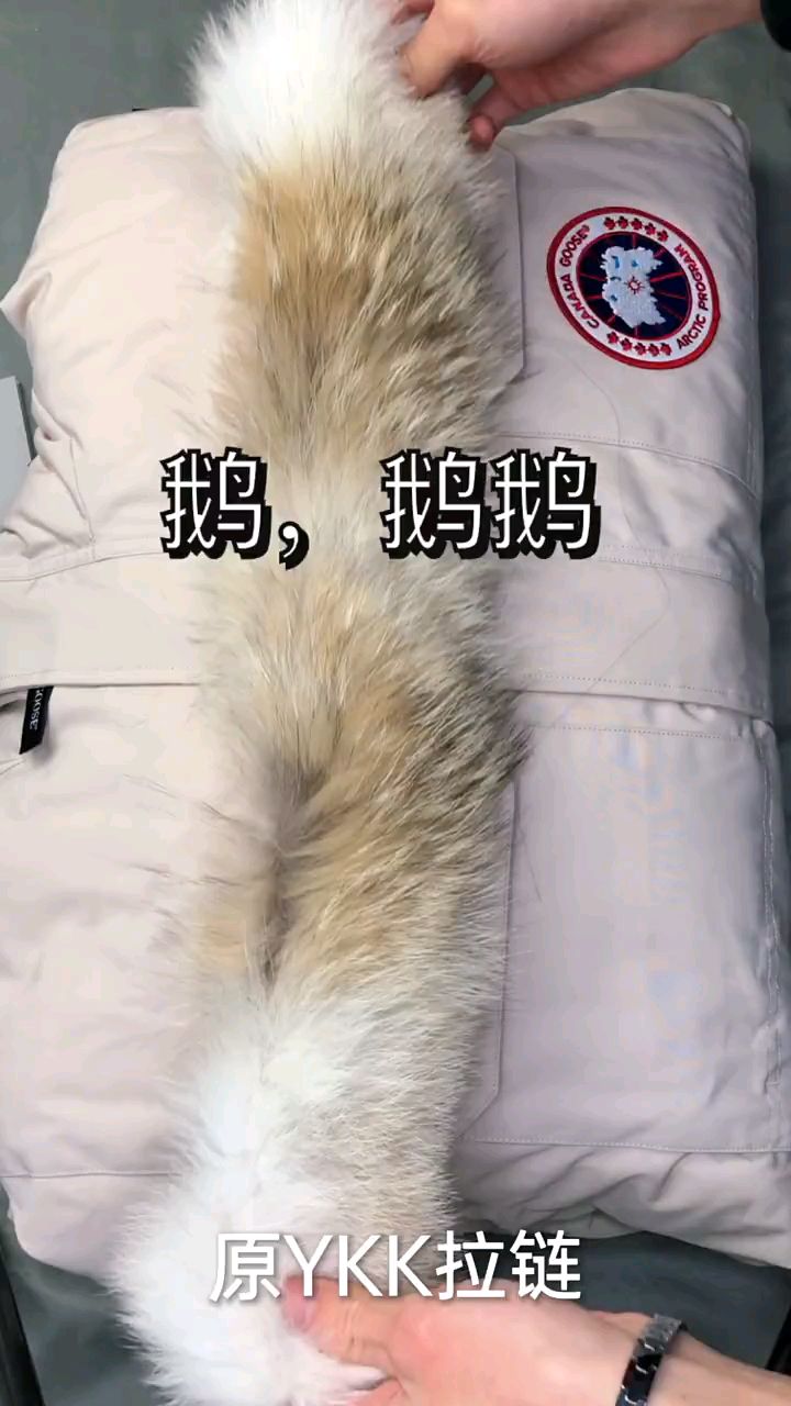 大鹅羽绒服冬天里的一把火