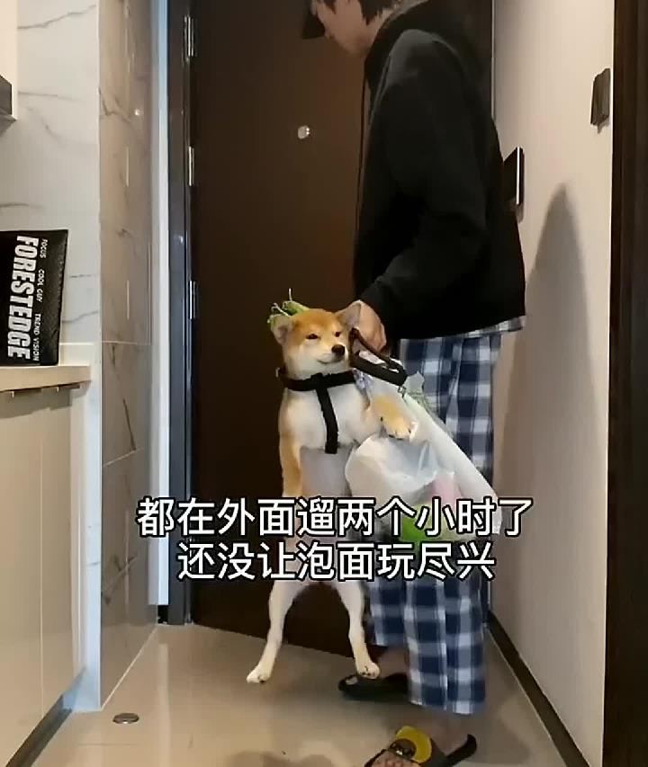 花了80买了四斤鸭货,深度还原了周黑鸭的味道 追剧吃简直