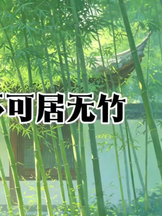 竹子开花宁可食无肉不可居无竹#竹子精神与人生进阶#阳明心学#每天读一点传统文化#