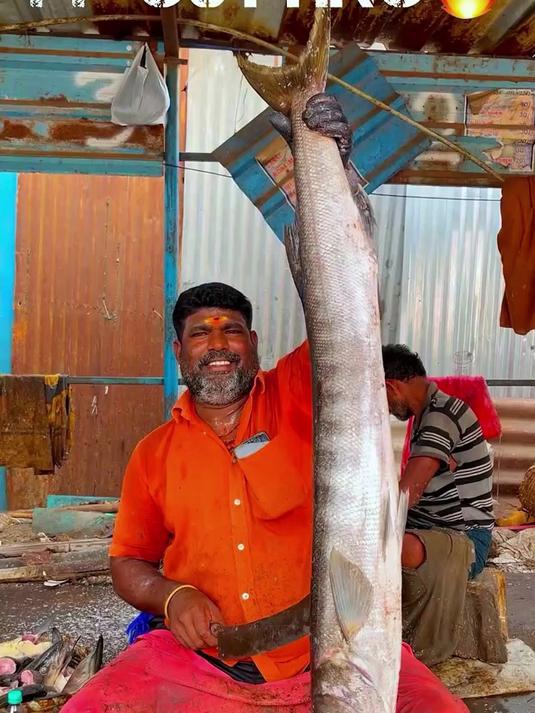印度人都是如何杀鱼的,真是让人大开眼界啊,看着也是很解压啊