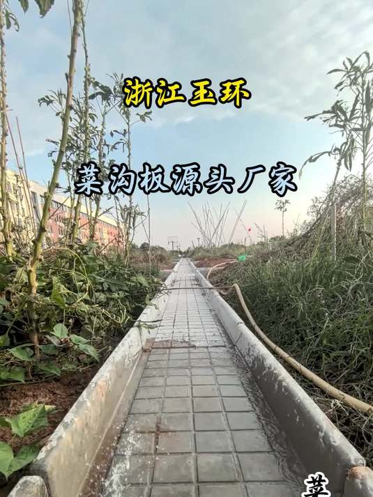 浙江玉环菜沟板厂家哪里找?