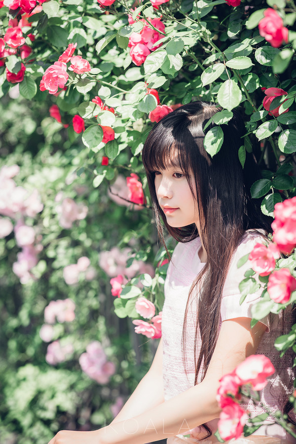 图片[17]-Blooming rose-六色网