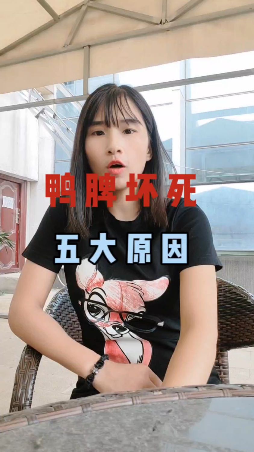 引起鸭脾坏死的五大原因你知道吗?