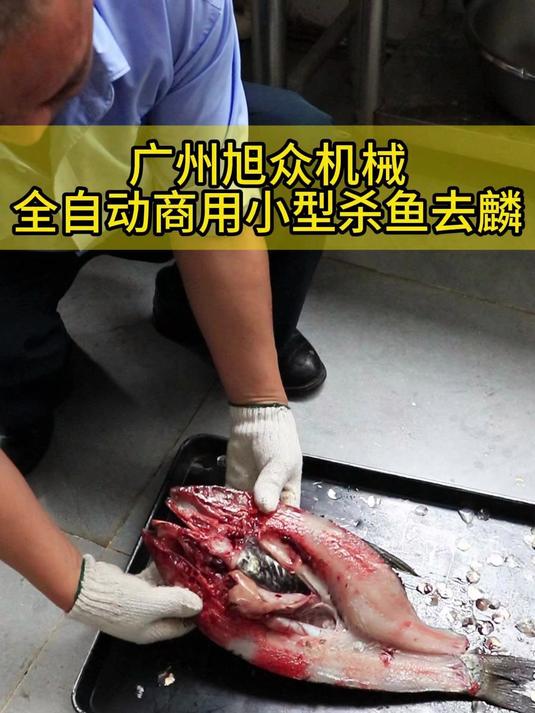 全自动商用小型杀鱼去麟机