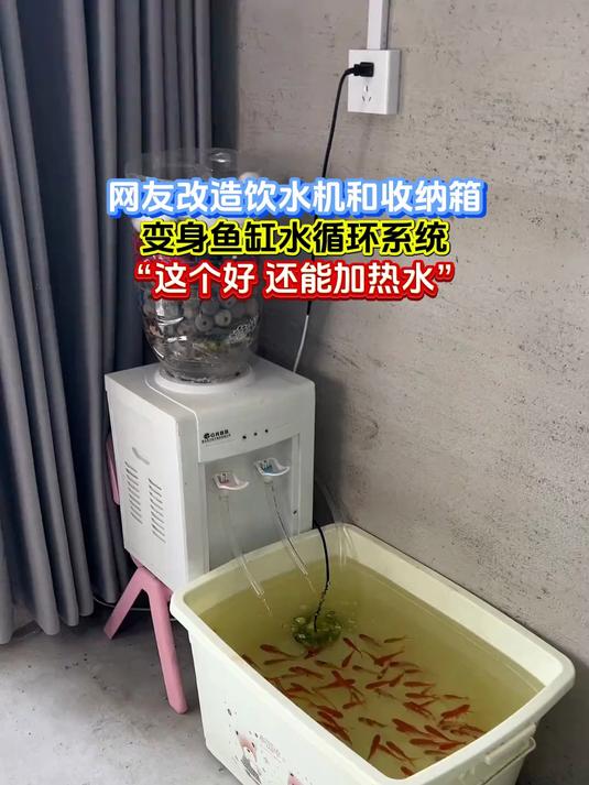 网友改造饮水机和收纳箱,变身鱼缸水循环系统,“这个好 还能加热水”