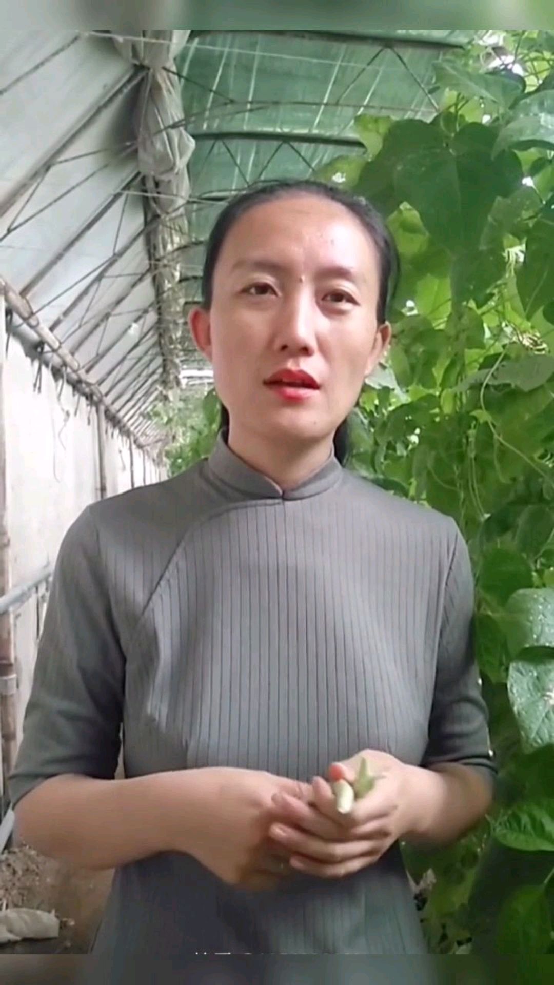 豆类蔬菜的种植管理