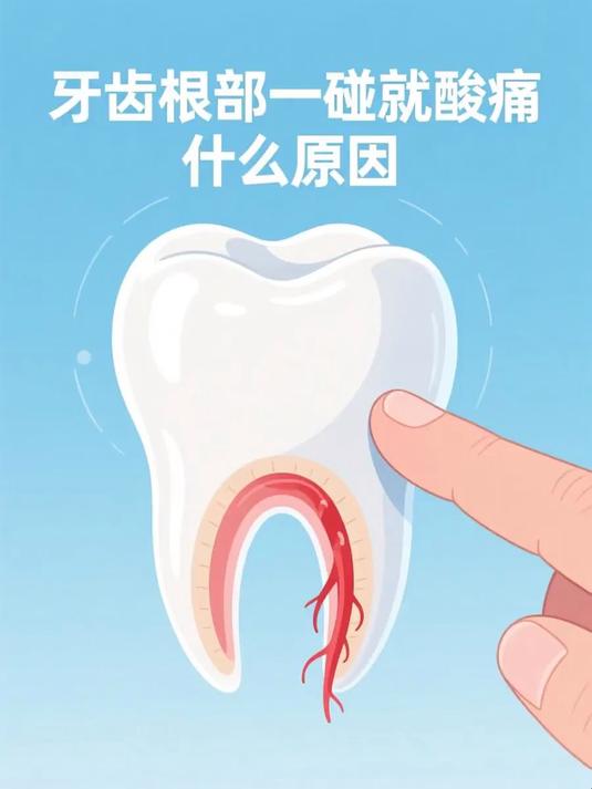#马上健康过大年#牙齿根部一碰就酸痛什么原因