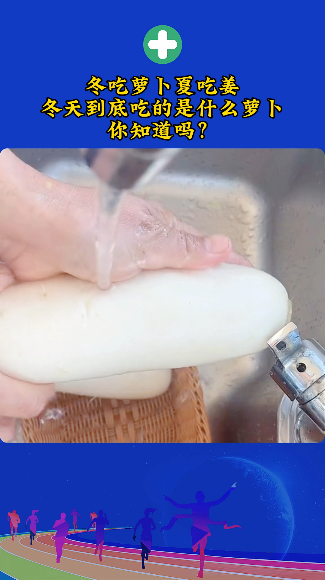 冬吃萝卜夏吃姜 你知道到底吃的是什么萝卜吗?