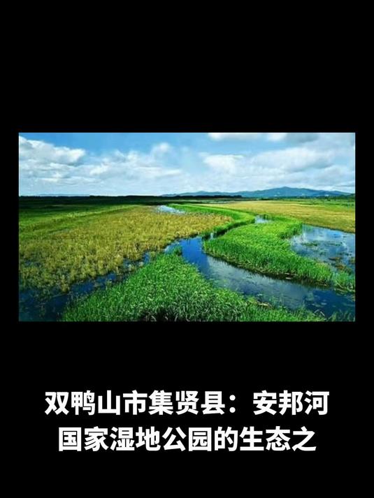 双鸭山市集贤县:安邦河国家湿地公园的生态之美与学业之辅