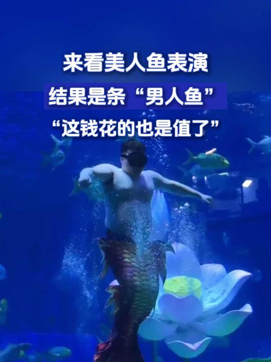 来看美人鱼表演,结果是条“男人鱼”,“这钱花的也是值了”