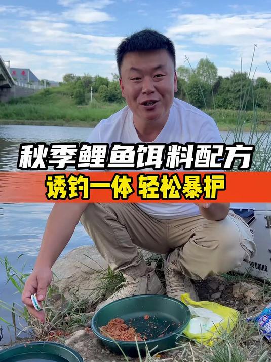 秋季鲤鱼饵料配方,诱钓一体,轻松暴护
