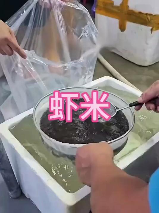 这种虾米你见过吗