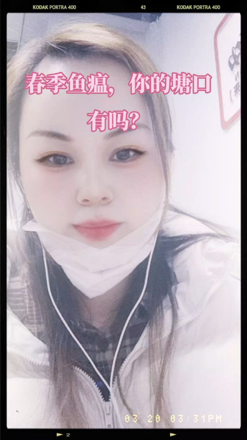 鲫鱼烂嘴烂头烂身红嘴的春季鱼瘟,你的塘口有吗?分享水产养殖技术