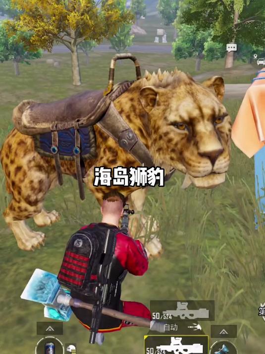 吃鸡游戏