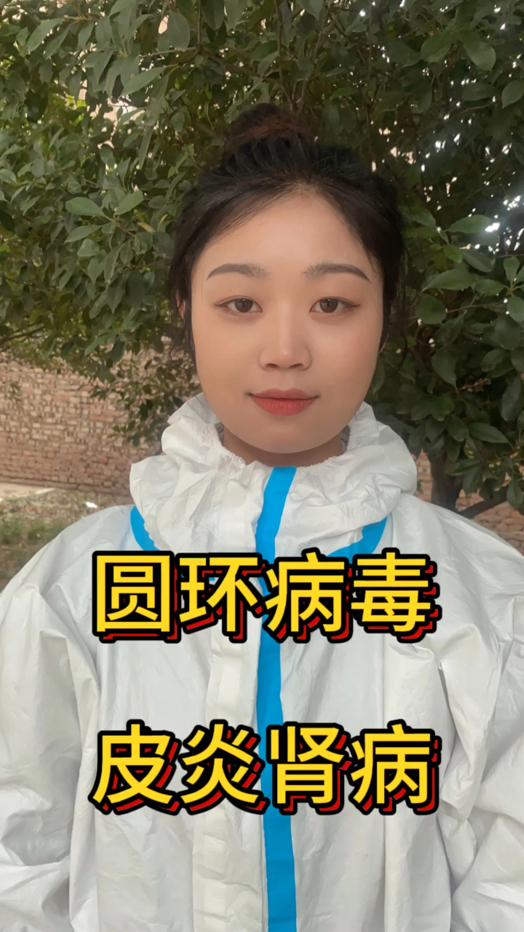 圆环病毒和皮炎肾病综合征的关系