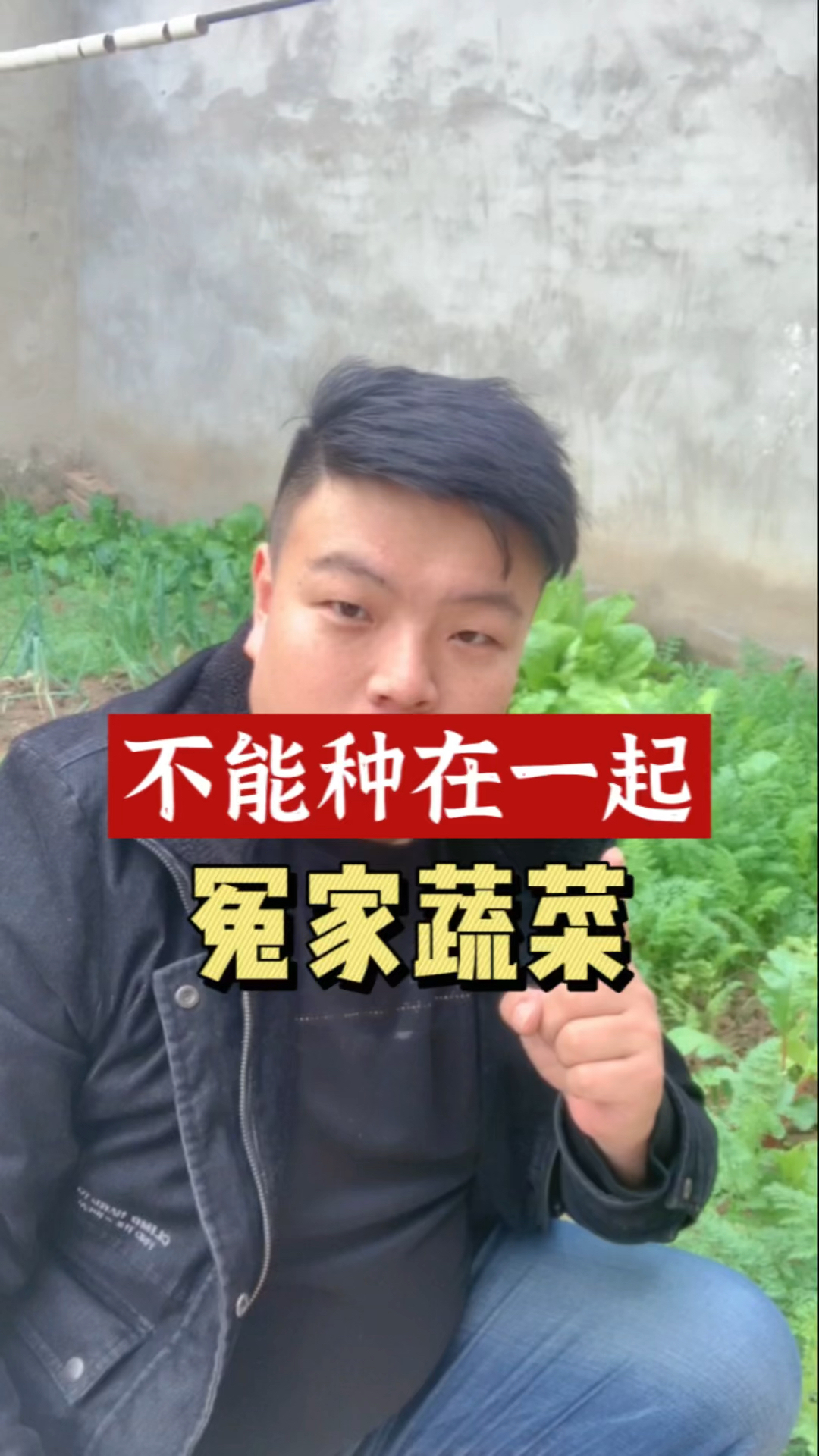 不能种在一起的冤家蔬菜,有哪些?