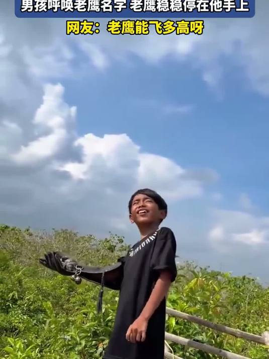 霸气少年呼唤老鹰，气势如虹！网友实拍小男孩帅气训鹰，男孩呼唤