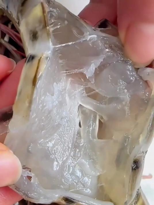 深海黑虎虾，全家都夸好？