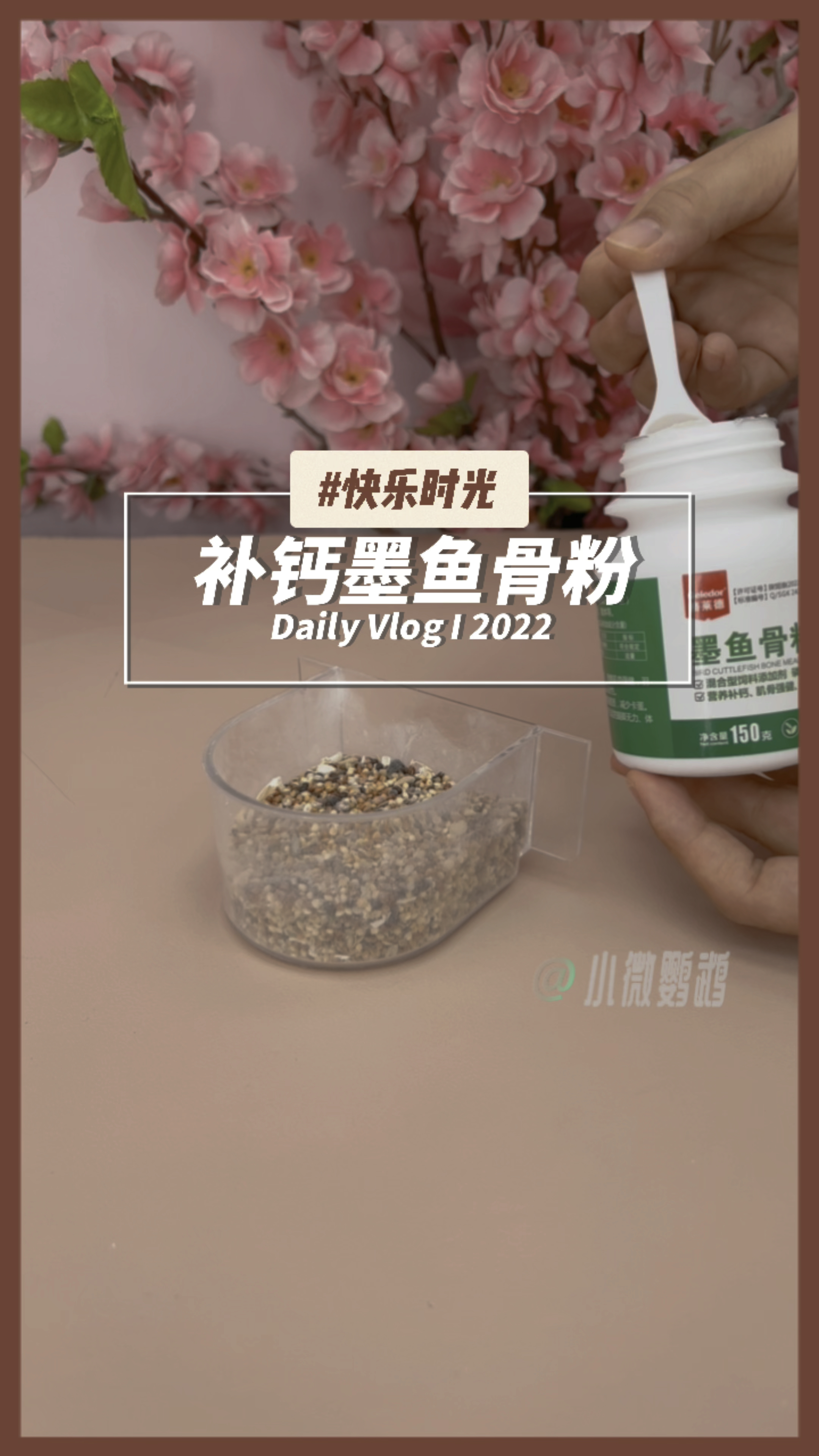 抓紧时间给繁殖期的种鸟,雏鸟期的幼鸟,换羽期的成鸟,加一波墨鱼骨粉