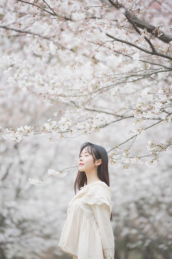 图片[27]-三生三世，百里樱花-六色网