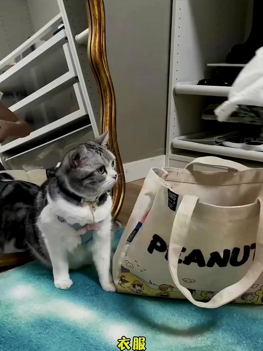 好久不见 今天献上爱吃火龙果的王泡芙