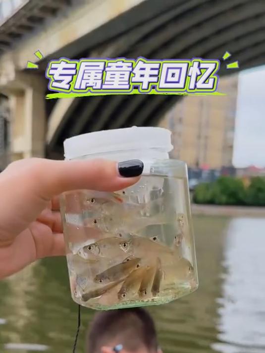 孩子捞鱼总溅水？儿童捕鱼瓶带防逃网 捞鱼不脏衣，安全又好玩！