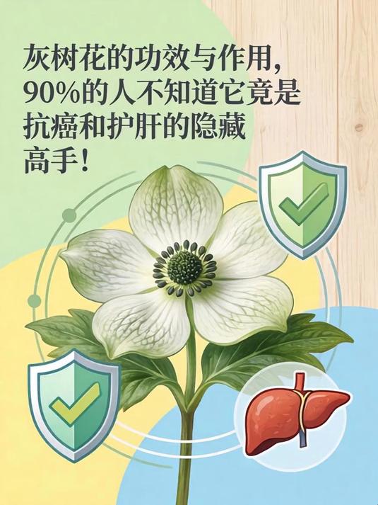 灰树花的功效与作用,90%的人不知道它竟是抗癌和护肝的隐藏高手!