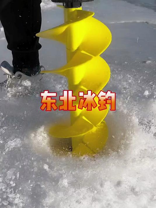 东北冰钓,爆连柳根鱼